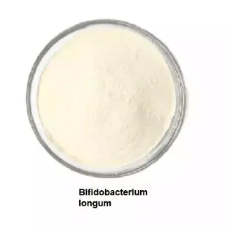 Food Grade Probiotics for in Gastrointestinal Healthcare Bifidobacterium Bifidum Longum