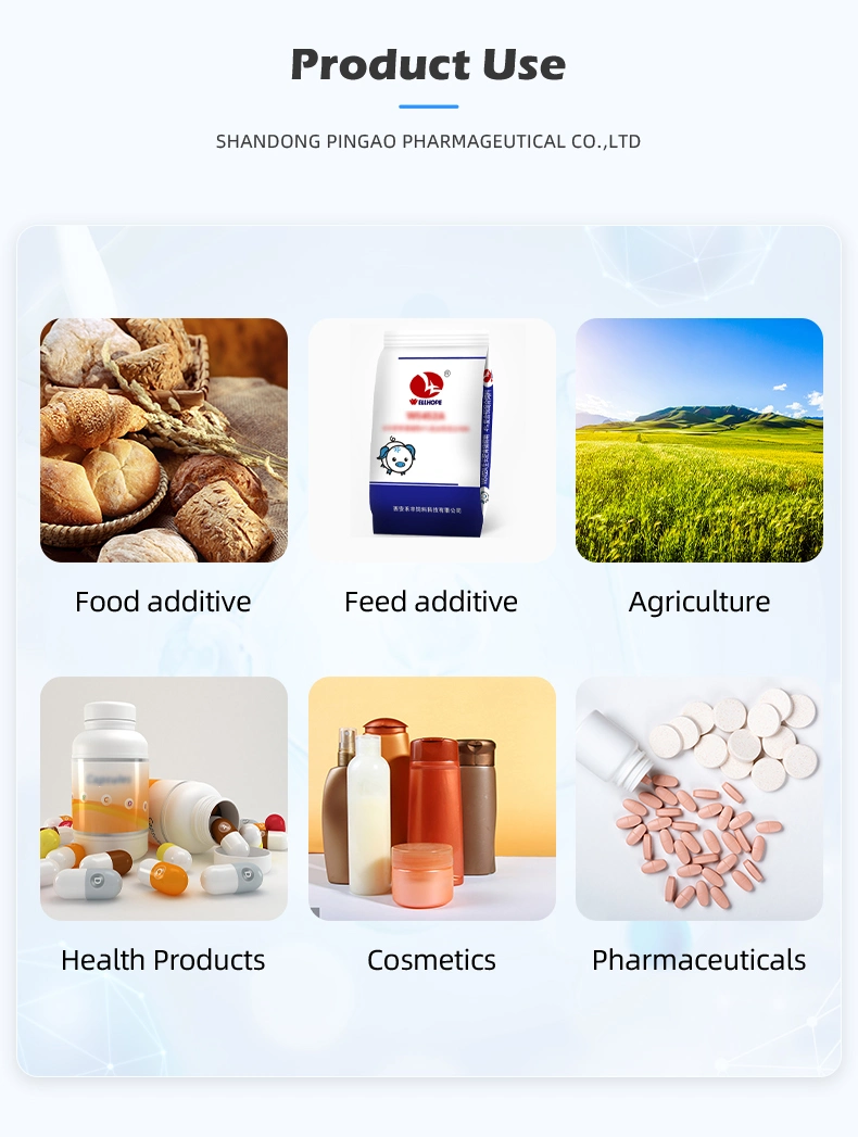 China Suppliers OEM Food Grade Food Additives Lactobacillus Paracasei Probiotic Powder