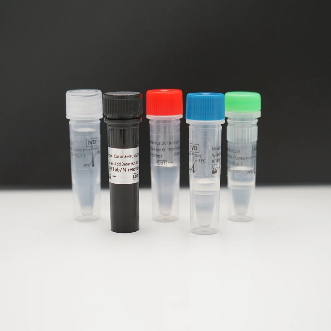 2019 Nucleic Acid Detection Kit PCR-Fluorescence Probing