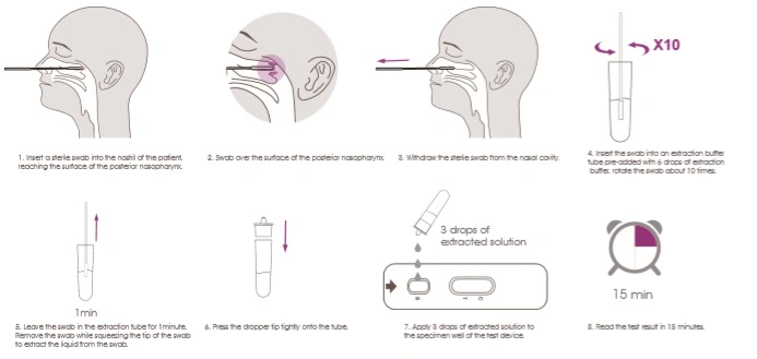 Hot Sale Singclean Nasopharyngeal Detection Test CE Mark Rapid Diagnostic Igg/Igm Test Kit Antibody Test Kit with CE