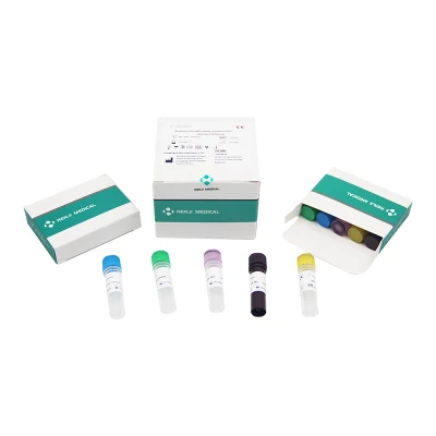 Renji Monkeypox Virus Kit de detección de ácido nucleico Monkeypox PCR Test Kit