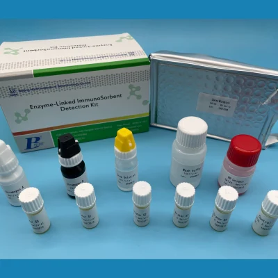 Diazepam Elisa Reagent Kit Eia Detección de virus ADN y ARN