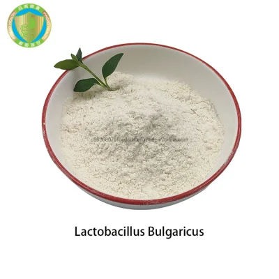 El suplemento OEM Healthcare mejora la inmunidad 10bcfu/G Lactobacillus Bulgaricus Probiotics Powder