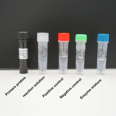 2019 Kit de detección de ácido nucleico PCR-Sonda de fluorescencia